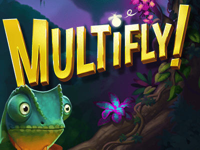 Multifly !